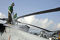 'Wild Cards' of Combat Helicopter Squadron 23 121202-N-AQ172-081.jpg