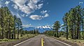 "A Road to Look Forward To" state road Flagstaff, Arizona.jpg