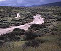 "Agave Wash" looking west from near Soda Lake Rd (935330198).jpg