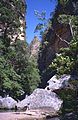 " Canyon des Singes " (9589928010).jpg